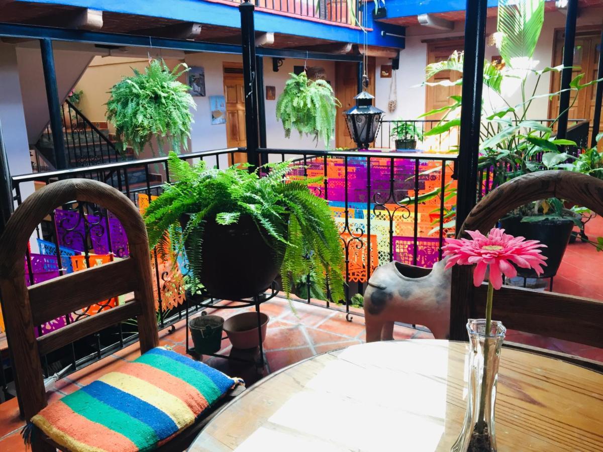 Hotel Cazomalli Oaxaca Εξωτερικό φωτογραφία