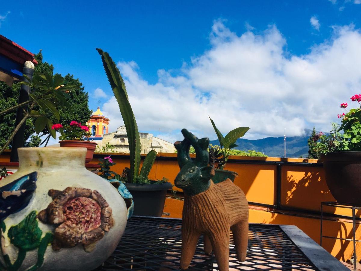 Hotel Cazomalli Oaxaca Εξωτερικό φωτογραφία